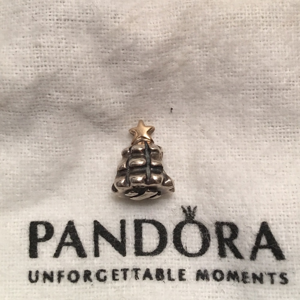 Pandora Charm